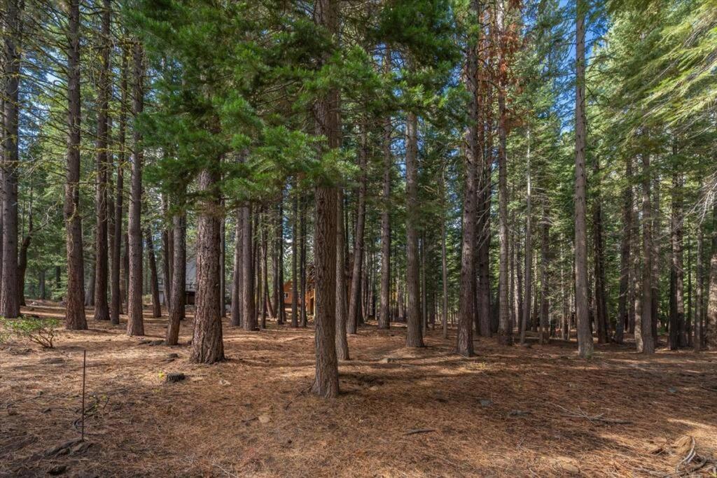 3Br Tahoe Donner Cabin With Hoa Perks Like Pools Hot-Tub Minutes To Trails Lake Golf Truckee Εξωτερικό φωτογραφία